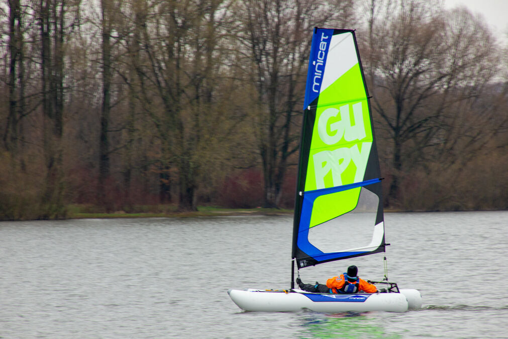 guppy sailing 9.jpg